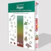 Algae: Anatomy, Biochemistry, and Biotechnology
