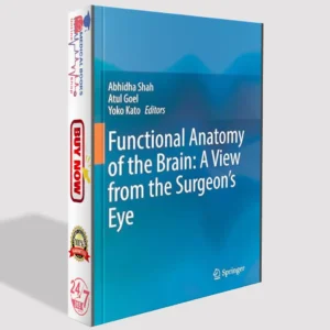 Functional Anatomy of the Brain