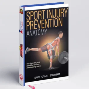 Sport Injury Prevention Anatomy